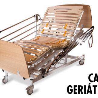 somier geriatrico motorizado